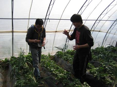 //itcs.dywhhl.com/chn/news/2009/2009013/image010.jpg